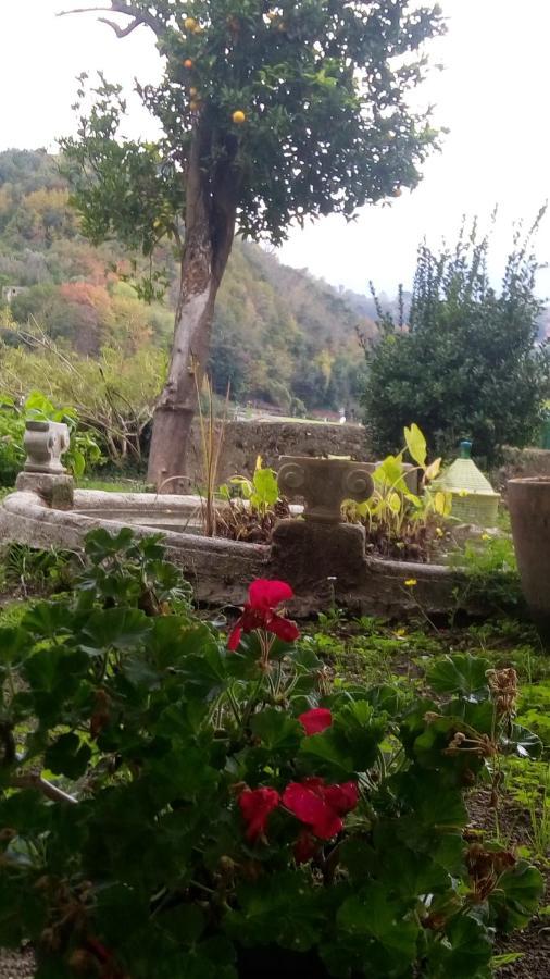 L'Antico Giardino Bed & Breakfast Vietri Luaran gambar