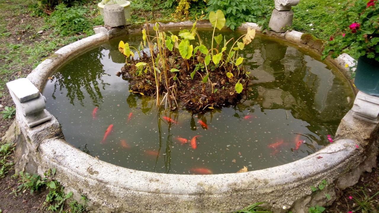 L'Antico Giardino Bed & Breakfast Vietri Luaran gambar